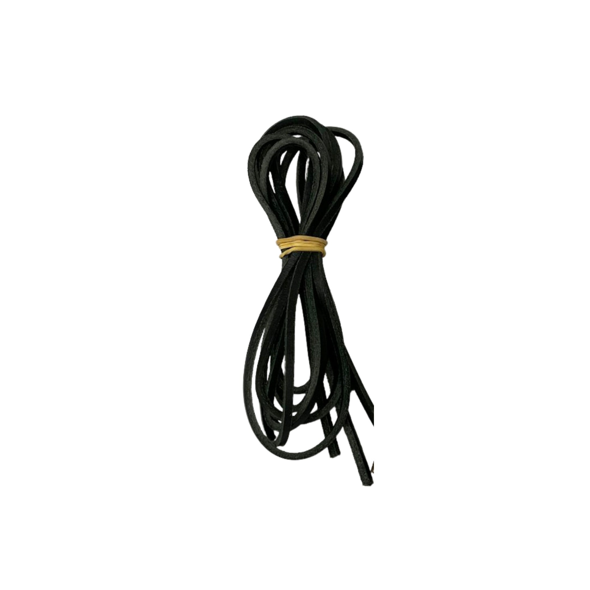 Shoe Laces Common