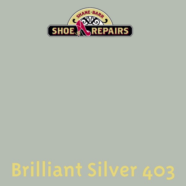 Easy Dye Brilliant Silver 403