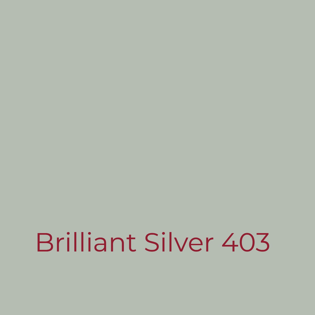Easy Dye Brilliant Silver 403