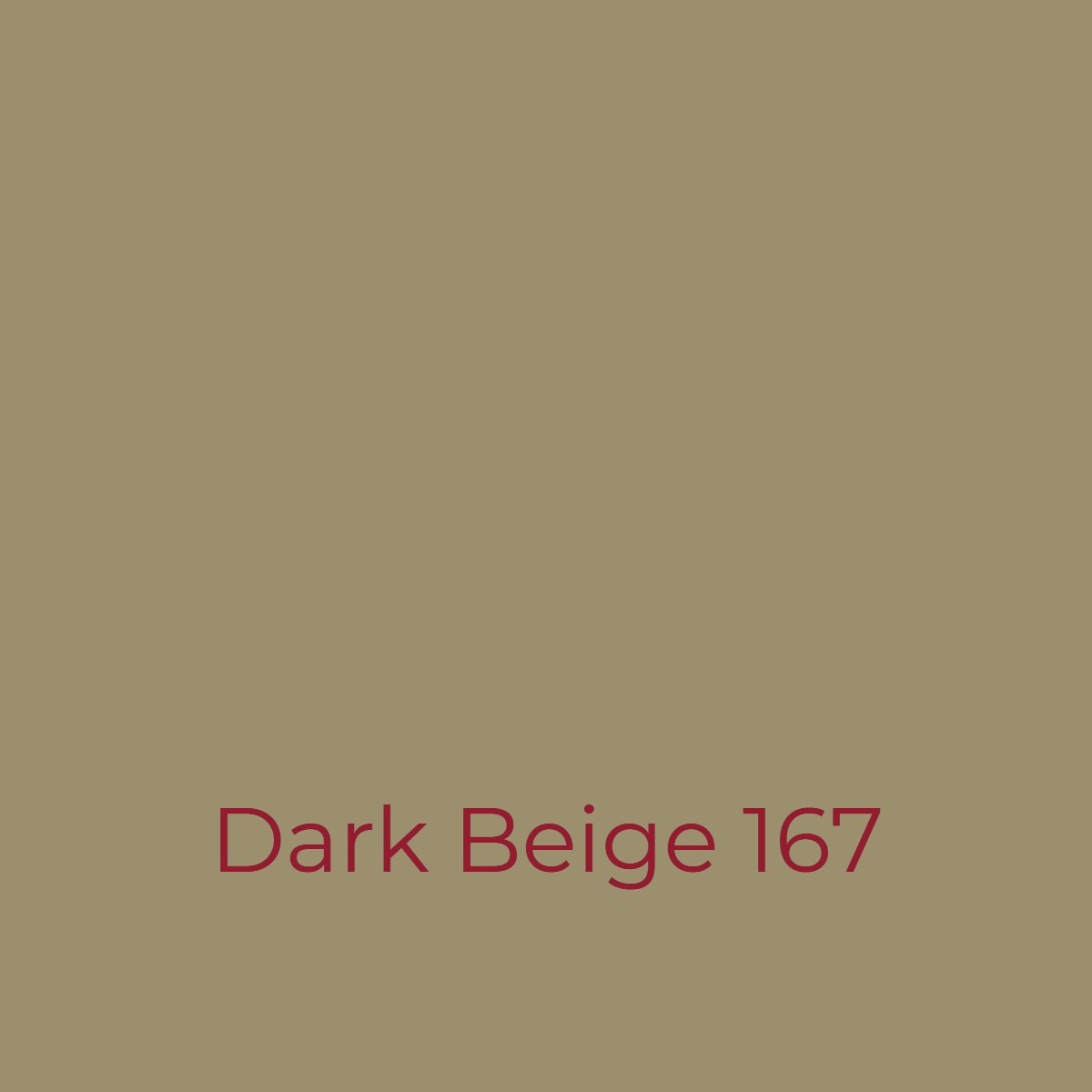Easy Dye Dark Beige 167