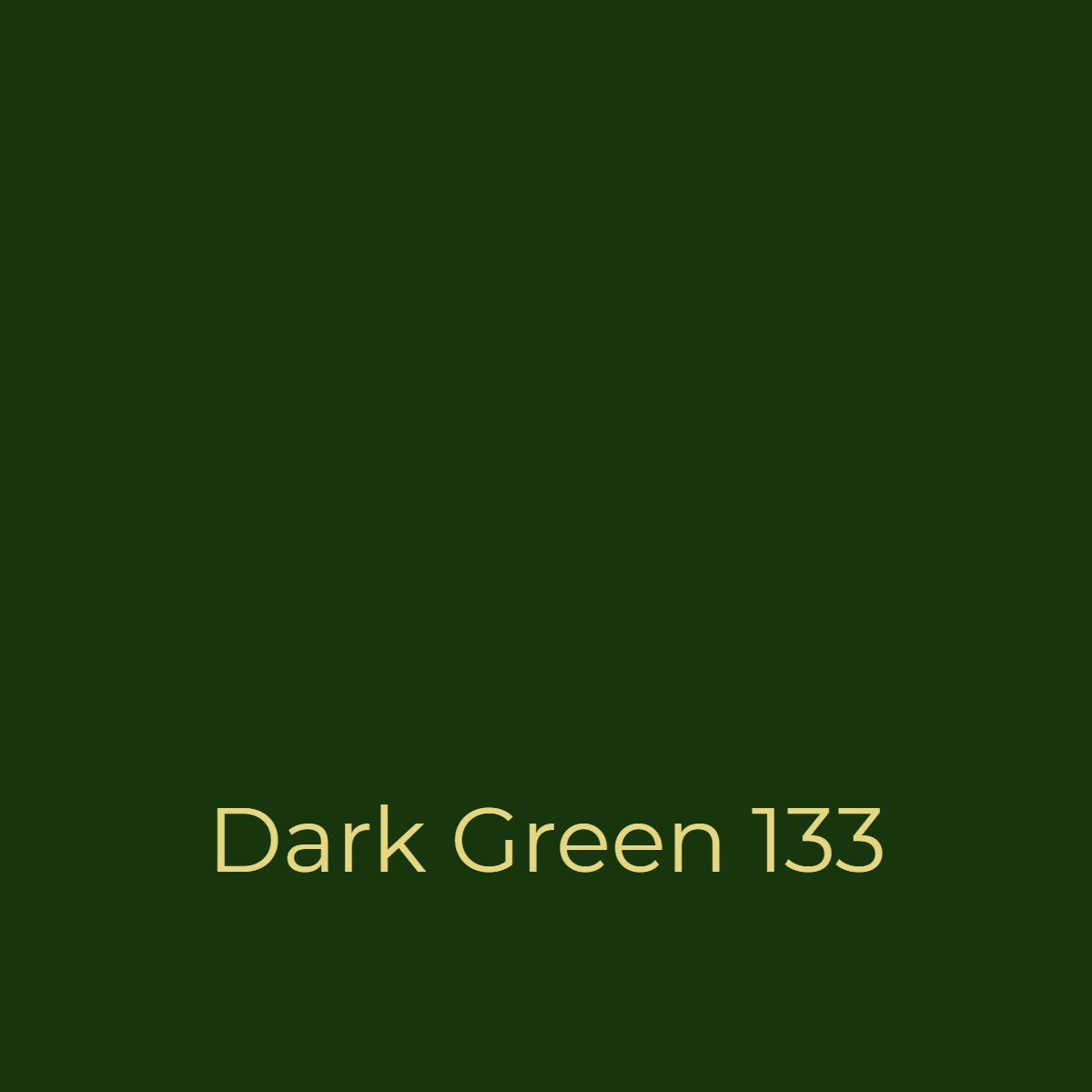 Easy Dye Dark Green 133