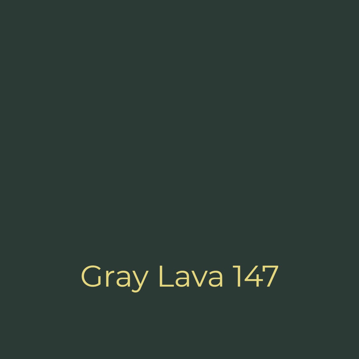 Easy Dye Gray Lava 147
