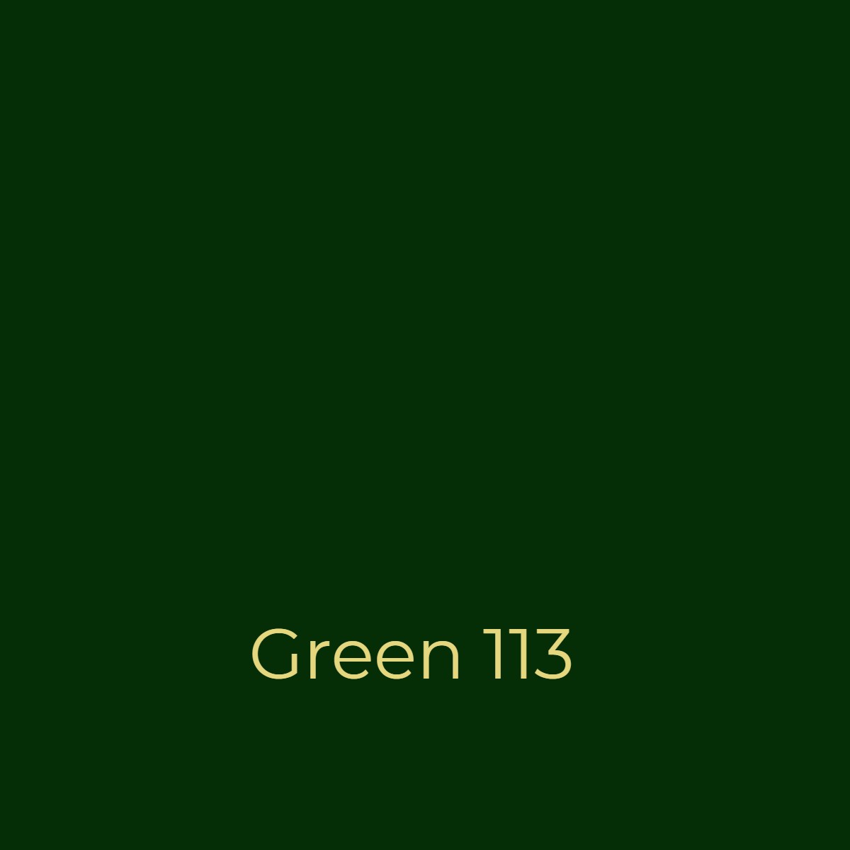 Easy Dye Green 113