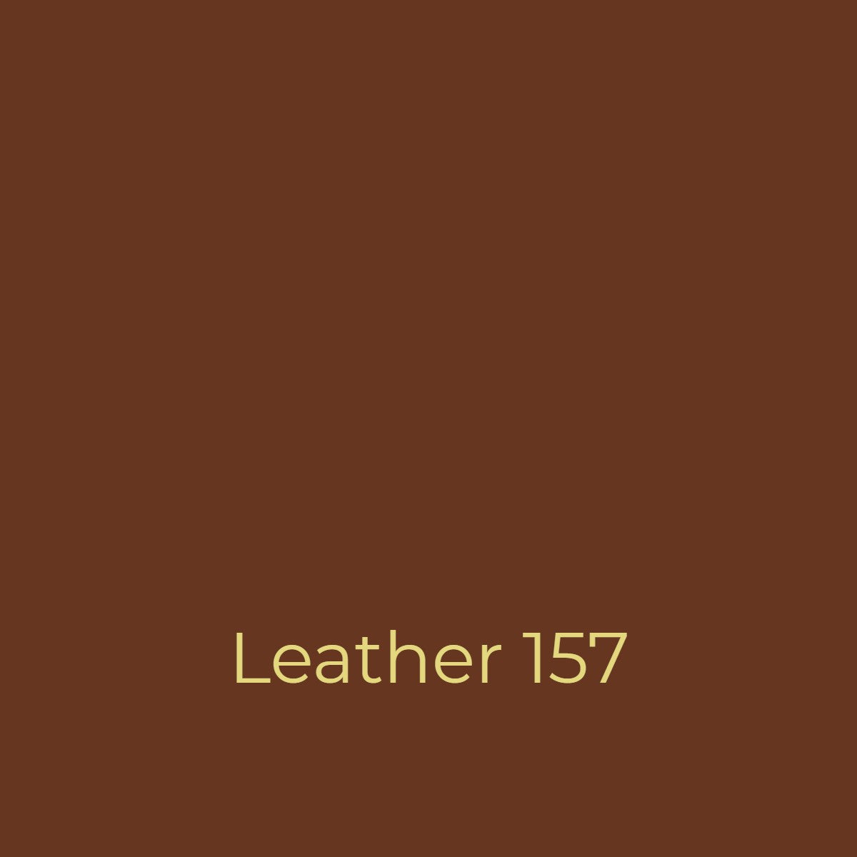Easy Dye Leather 157