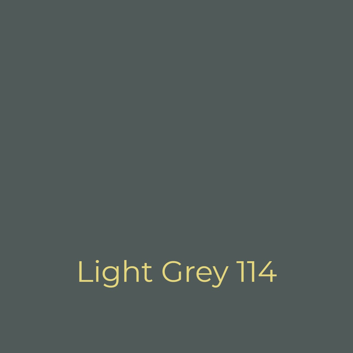 Easy-Dye-Light-Grey-114-leather-dye-colour-swatch