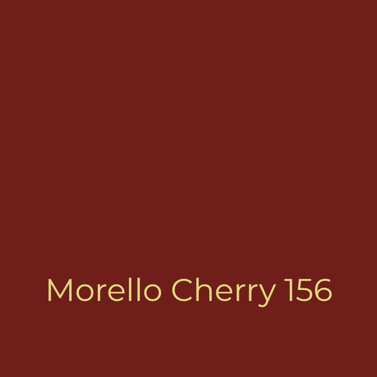 Easy Dye Morello Cherry 156