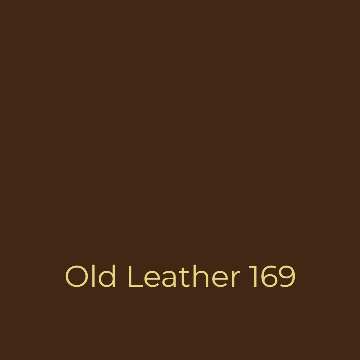 Easy Dye Old Leather 169