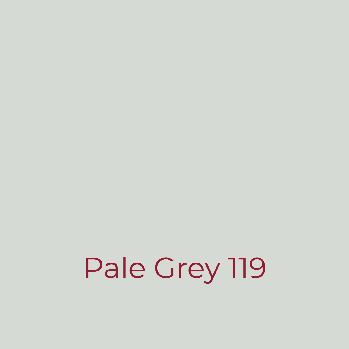 Easy Dye Pale Grey 119