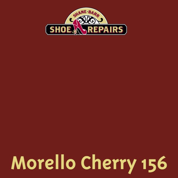 Easy Dye Morello Cherry 156