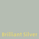 403-brilliant-silver-leather-dye-shoe-paint