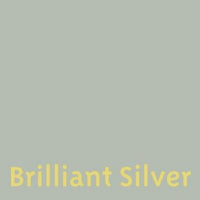 403-brilliant-silver-leather-dye-shoe-paint