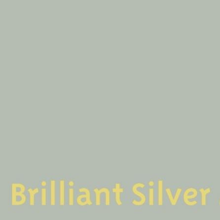 Easy Dye Brilliant Silver 403